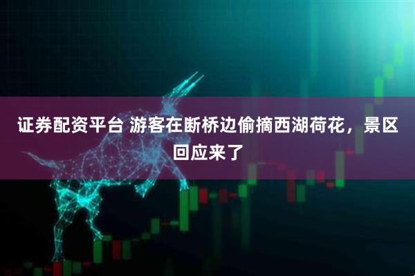 证券配资平台 游客在断桥边偷摘西湖荷花，景区回应来了